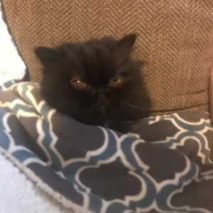 Meet your Posher, Cathy